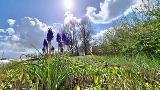 Toch nog een aardige lentedag 