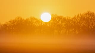 Zonsopkomst in de nevel.