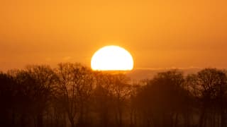 Zonsopkomst in de nevel.