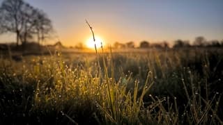 Zo mooi vanmorgen Dauwdruppels en Sunrise ☀️