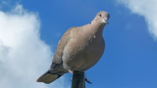 Genieten van het mooie weer!