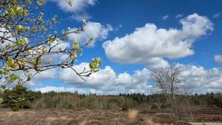 Hollandse wolkenluchten