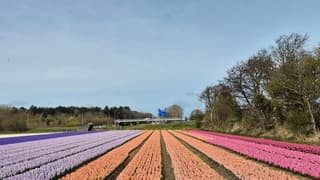 Genieten van de kleuren en het weer!
