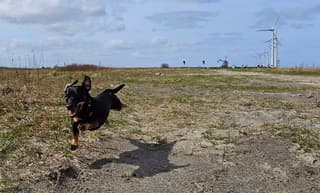 Genieten van het mooie weer