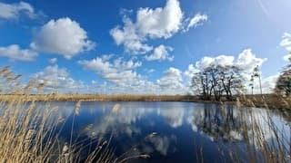 Blauwer dan blauwe lucht, weerspiegeling stapelwolkjes en bomen