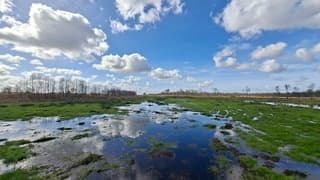 Nationaal Park Weerribben-Wieden, moerasachtig grasland