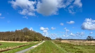 Prima dag vandaag. Wel een koude wind.