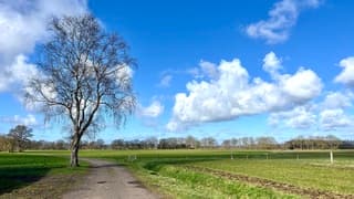 Prima dag vandaag. Wel een koude wind.