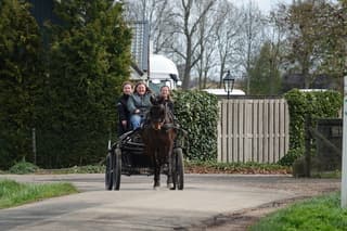 Lekker met het paard op pad