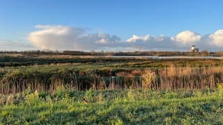 Koekoek! Ik zie je wel!