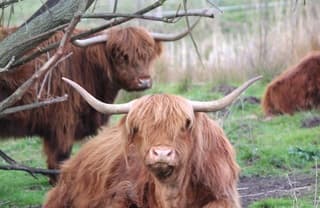 In het voorjaarszonnetje,  met dikke "jas" 