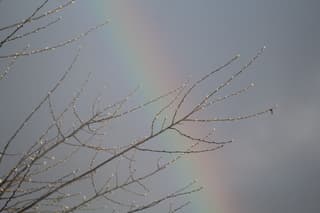 Tekenend voor vandaag