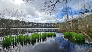 Mix van zon, stapelwolken, blauwe lucht boven "het Molenven"