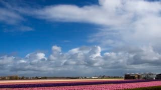 ZON EN AF EN TOE REGEN