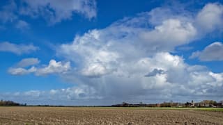 Hagelbui met valstrepen