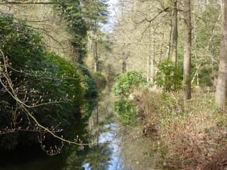 Vriendelijk weer vanmorgen in 's-Graveland.