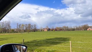 Maart roert zijn staart