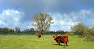 Zon, wolken en hagelstrepen