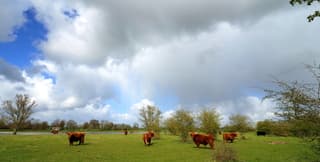 Frisse lentedag met maartse buien