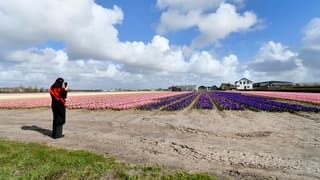Fraaie wolkenluchten