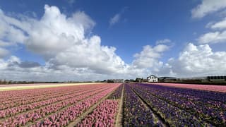 Fraaie wolkenluchten