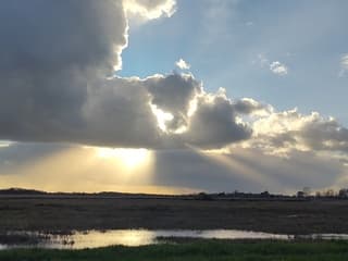 Zonne stralen en woljen