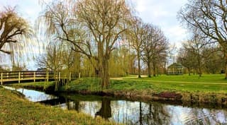 Wat een mooie groene start van de dag vanmorgen.