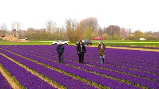 ZIEKZOEKERS in het VELD