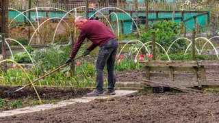 Bewolkt, wel prima weer om in de (volks) tuin te werken