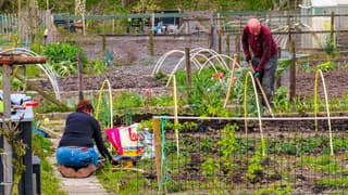 Bewolkt, wel prima weer om in de (volks) tuin te werken