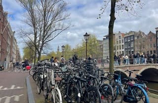 Nog best een aardige lentedag zo met die schapenwolkjes. 