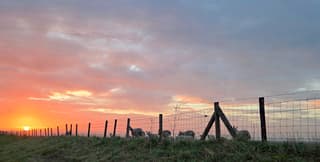 vroege octend in de polder