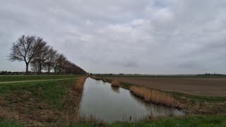 Een grijze boel vanmorgen