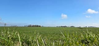 Blauw bewolkte lucht en zon boven de Groninger landerijen 