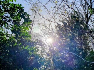 Het zonnetje wil wel schijnen