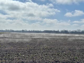De laatste restjes mist boven de weilanden.