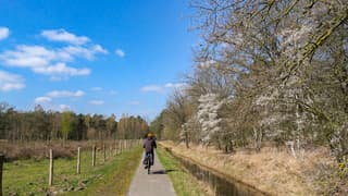 Zonnig met wat wolkjes en bloeiende krentebloesem