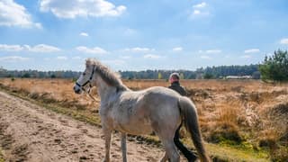 Zonnig met wat wolkjes en bloeiende krentebloesem