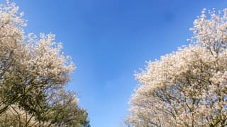 In de middag loste de wolken weer op en werd het strakblauw