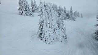 Winters Söll