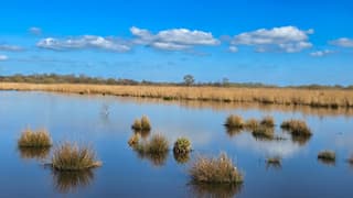 Een heerlijke lentedag