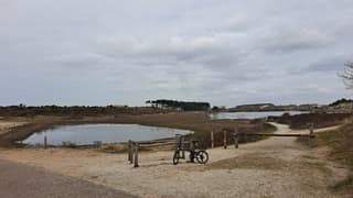 Licht bewolkt in de duinen 