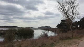 Bewolking in de duinen 