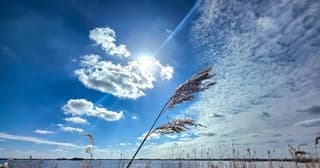 Een heerlijke lentedag