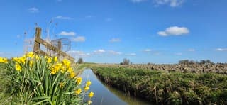 Blauw bewolkte lucht en zon boven de Groninger landerijen 