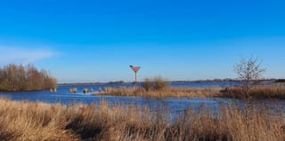 Een heerlijke lentedag 