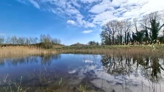 Veel zon met wolkenlucht 