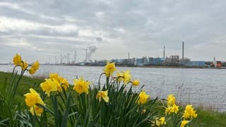 Een dag met veel bewolking