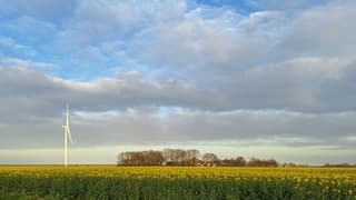 Avondlucht in de polder