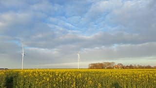 Polderlandschap vanavond.....